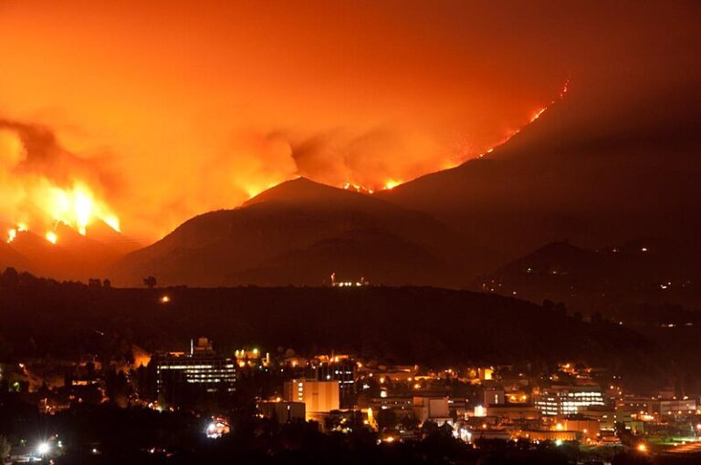 The Los Angeles Fire